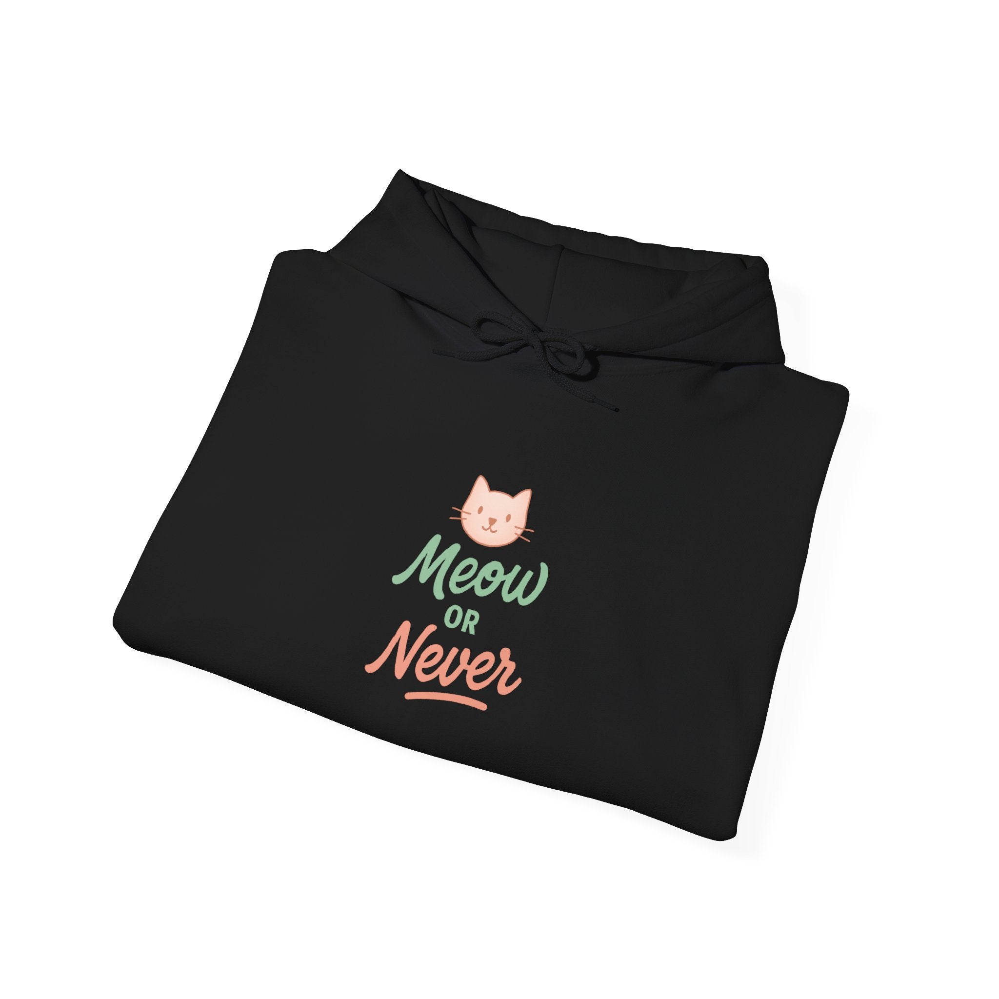 Meow or Never Cat Hoodie