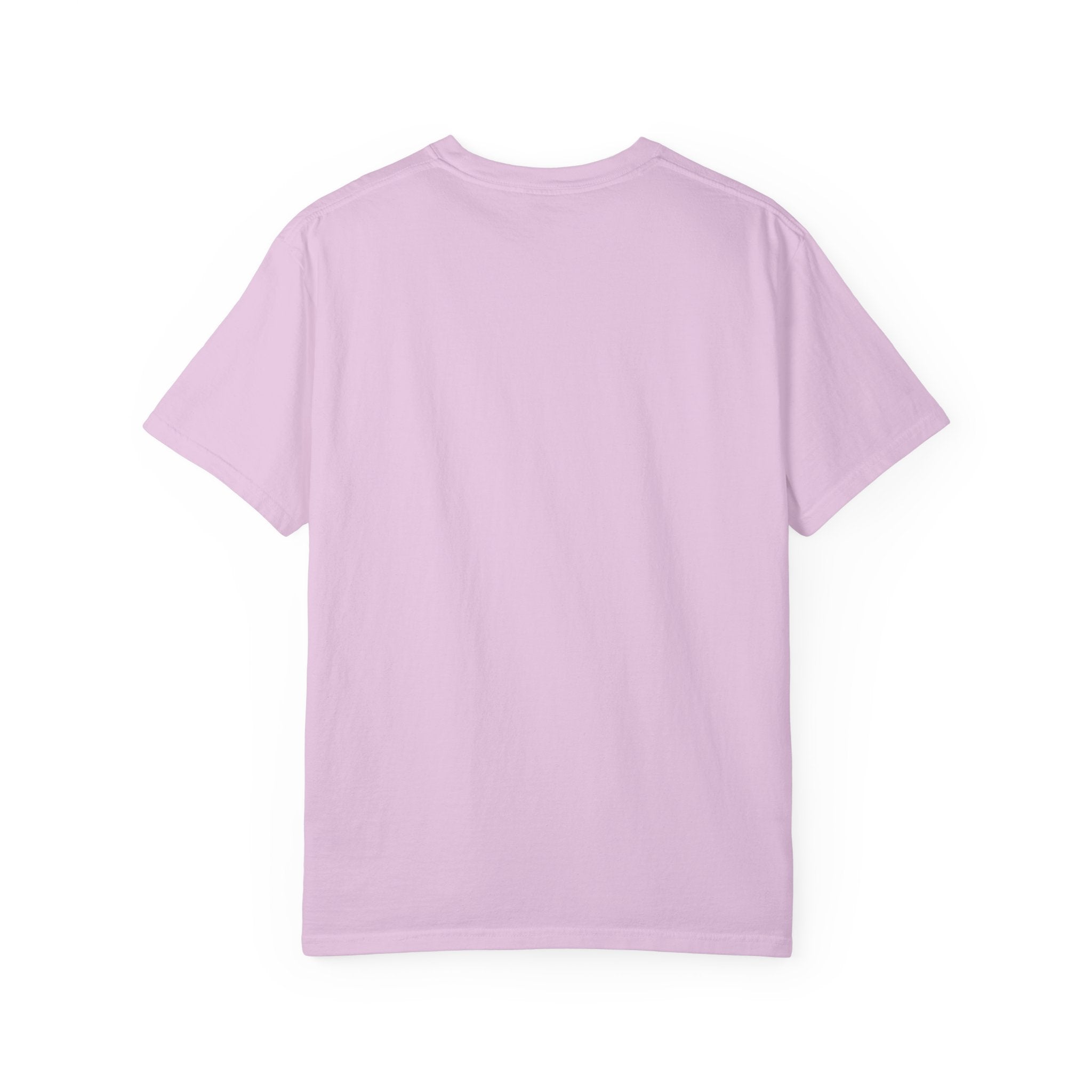 Not Today Hooman Cat T-Shirt
