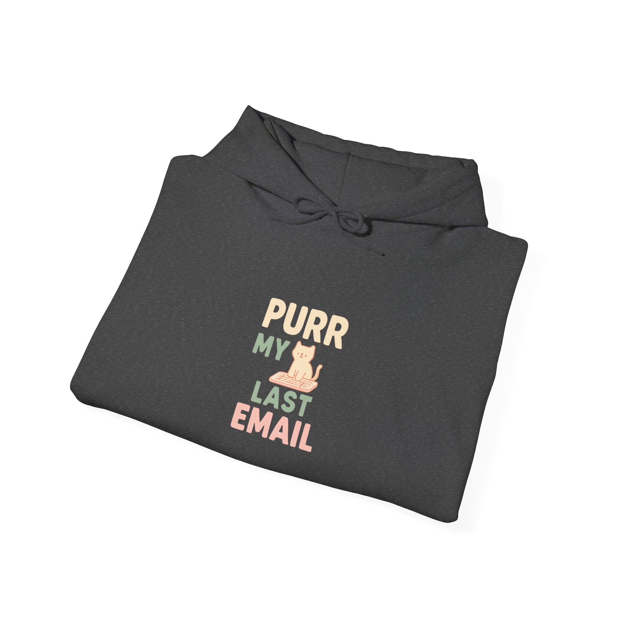 Purr My Last Email Hoodie