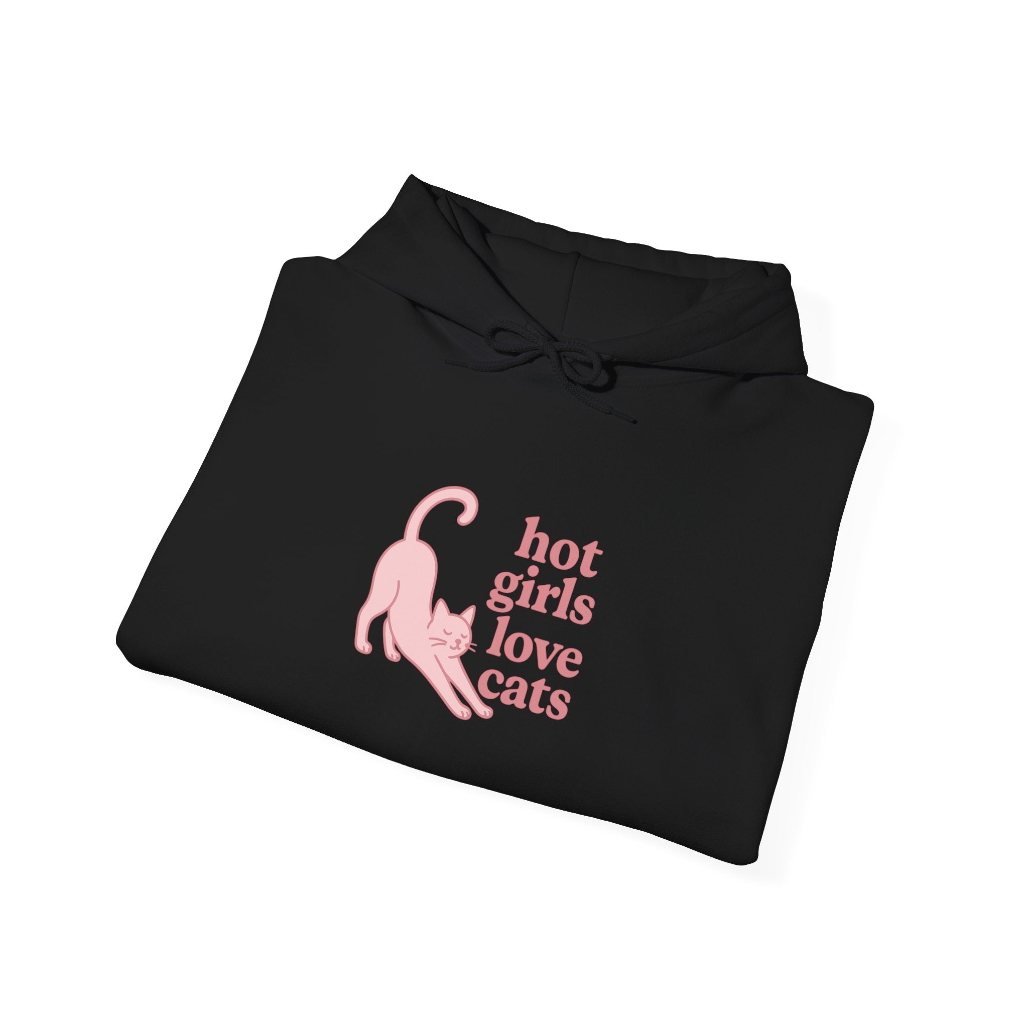 Hot Girls Love Cats Hoodie
