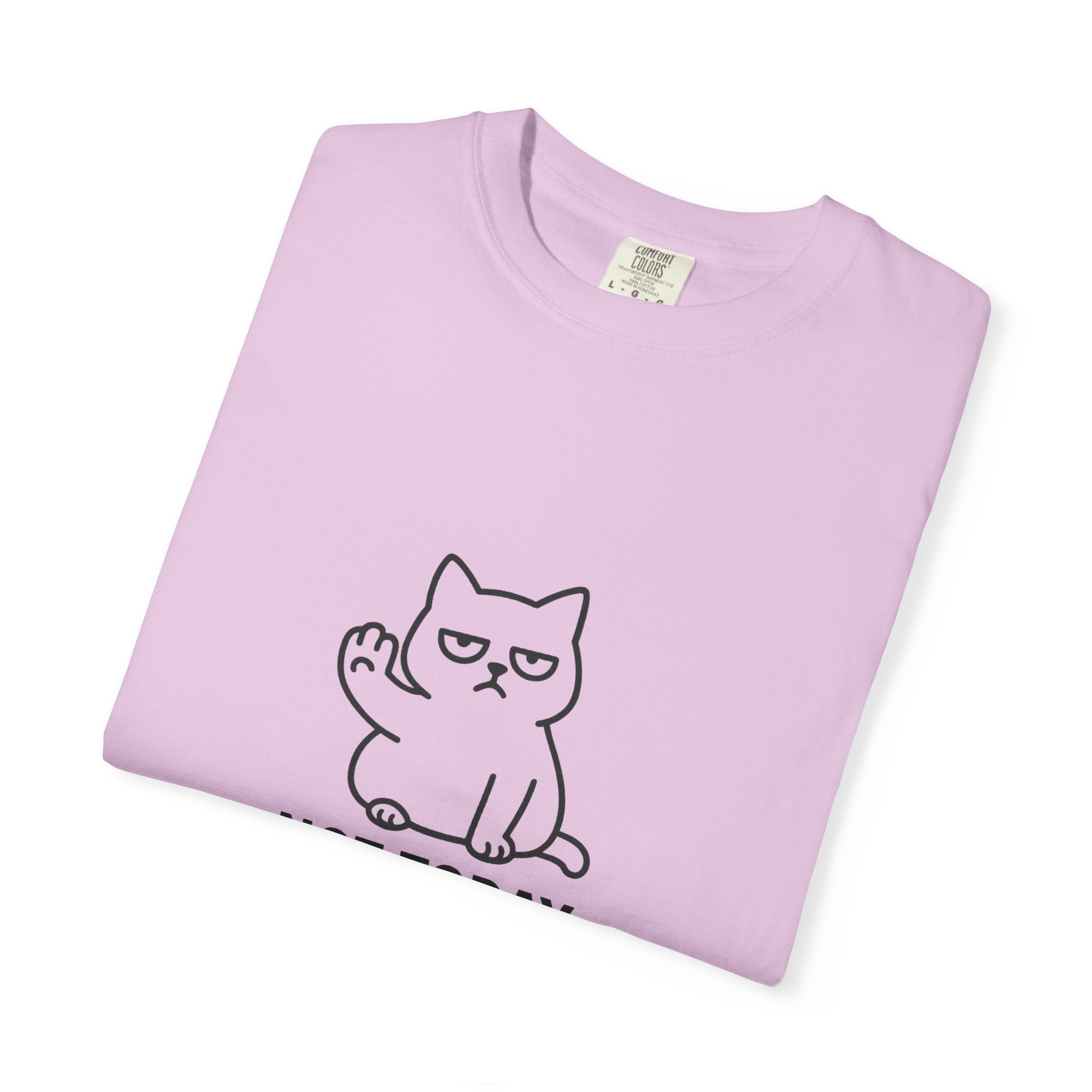 Not Today Hooman Cat T-Shirt