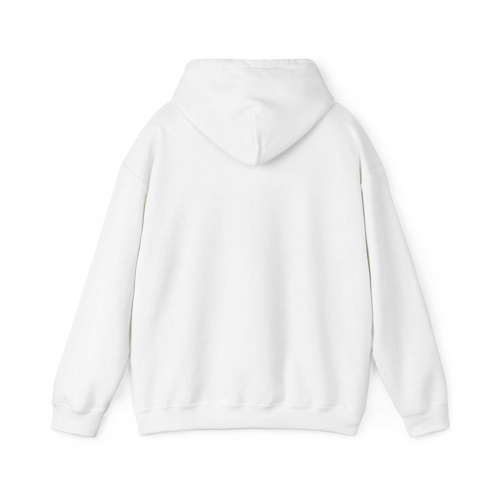Paws & Reflect Hoodie