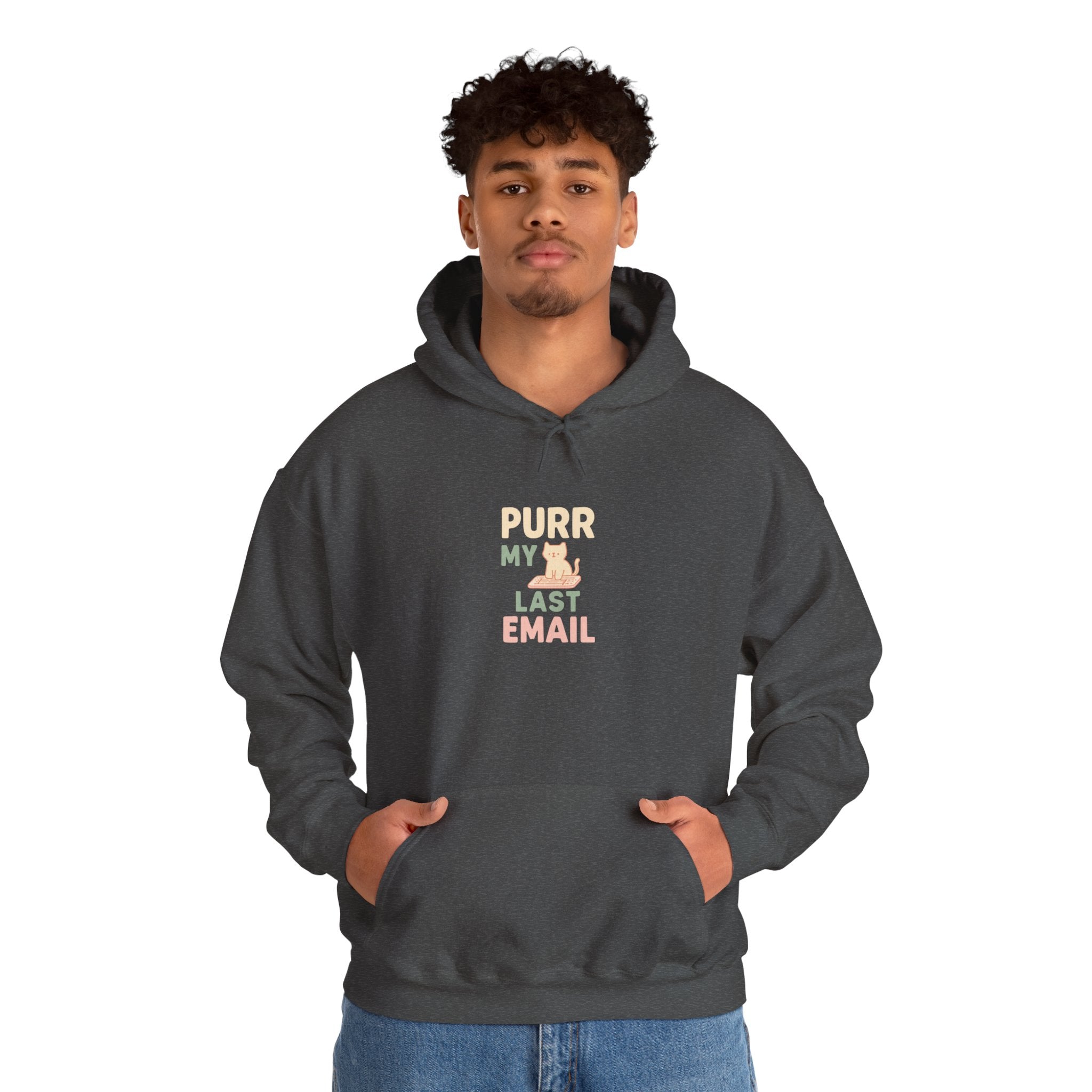 Purr My Last Email Hoodie