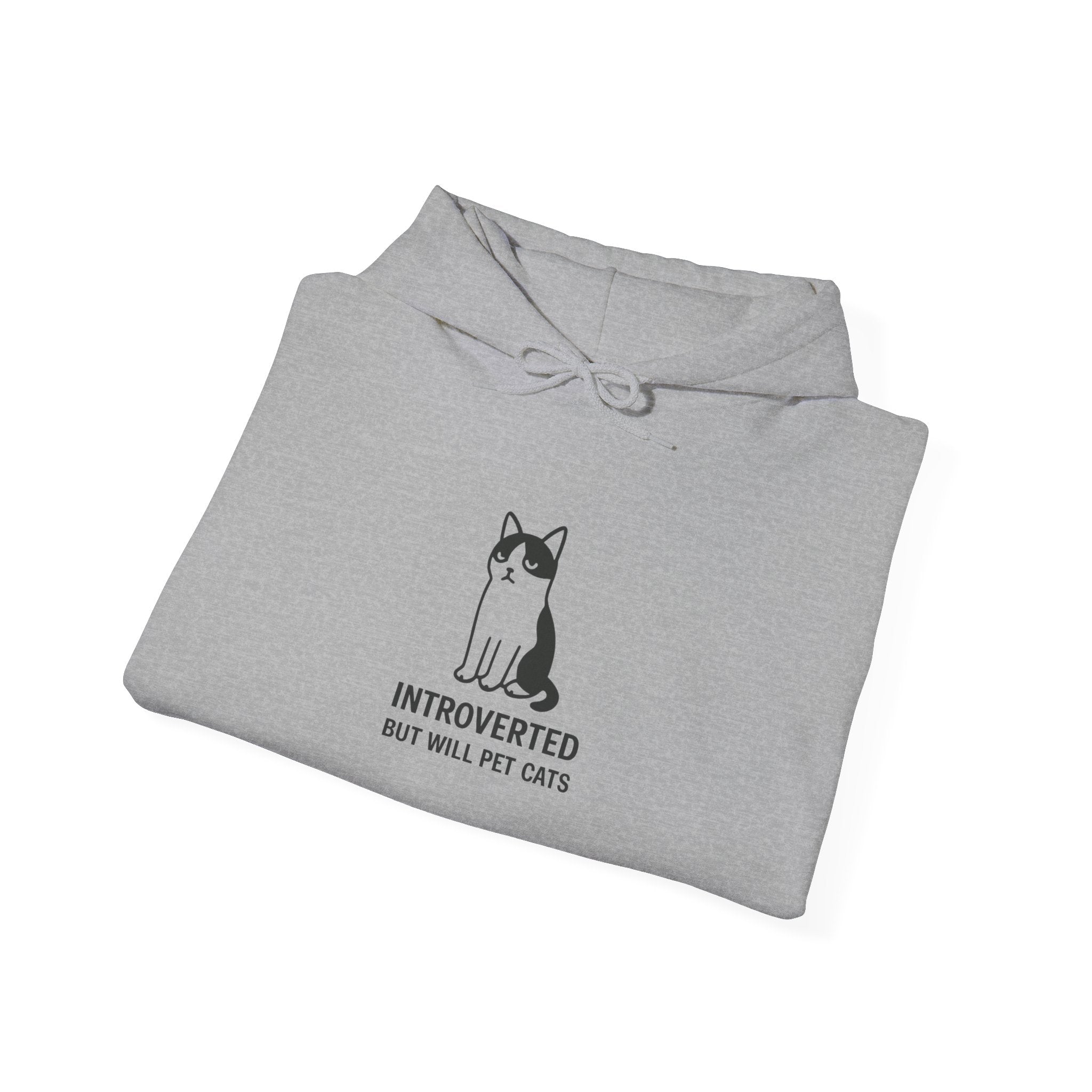"Introverted But Will Pet Cats" Graphic Hoodie