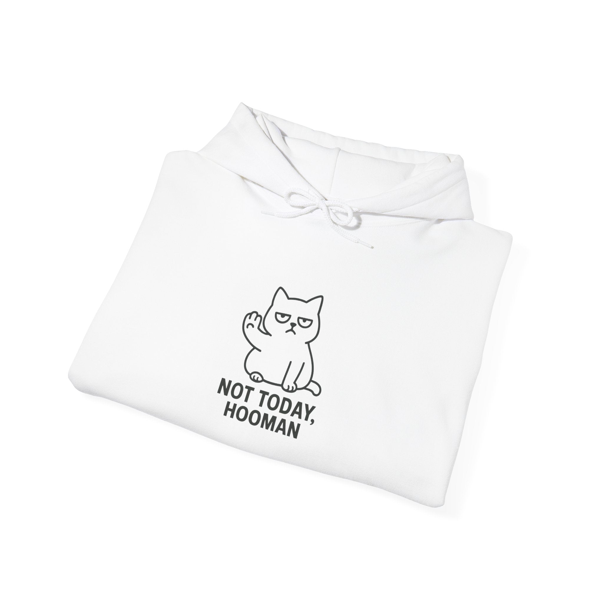 "Not Today, Hooman" Cute Cat Graphic Pullover