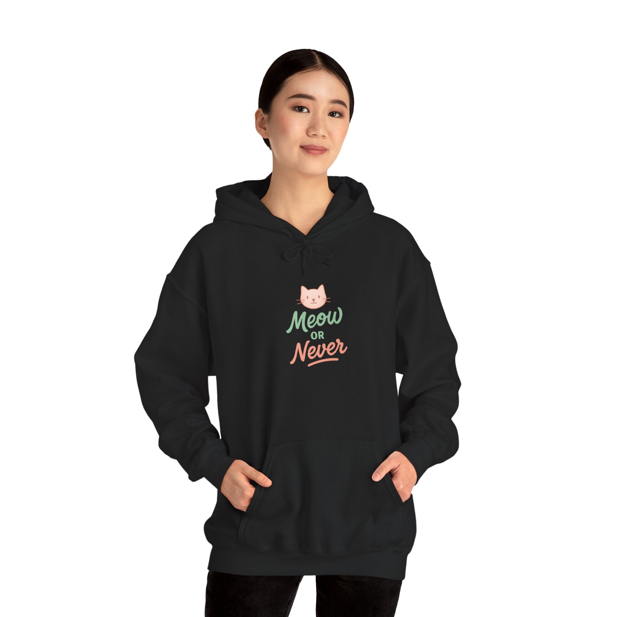 Meow or Never Cat Hoodie