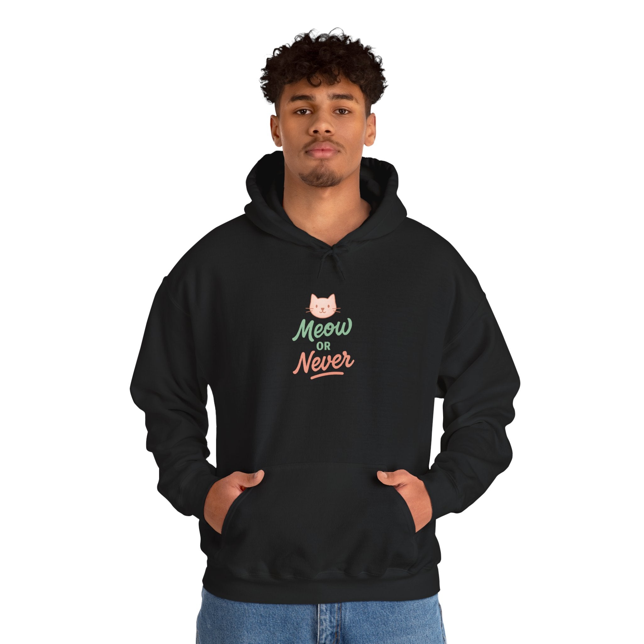 Meow or Never Cat Hoodie